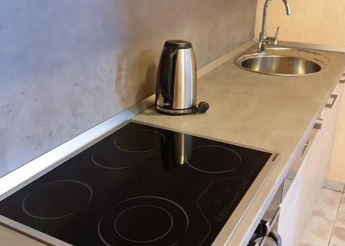 Krizanic Сasa de vacaciones